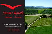 Tenuta Monte Rosola