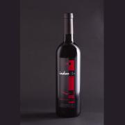 Indomito (2008)